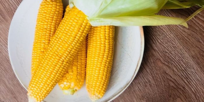 How to Cook Frozen Corn on the Cob