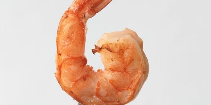 What Does Shrimp Taste Like