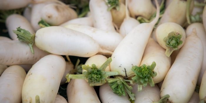 10 Best Korean Radish Substitutes