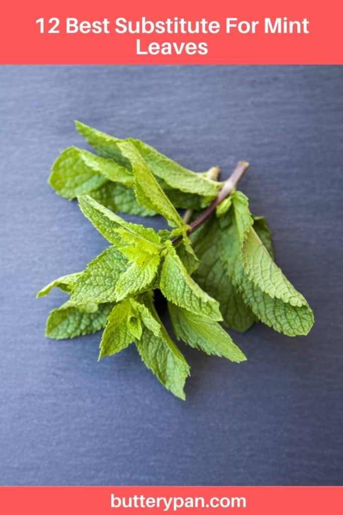 Substitute For Mint Leaves pin