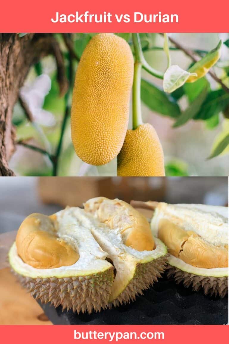 Jackfruit vs Durian: Are They Different? - ButteryPan